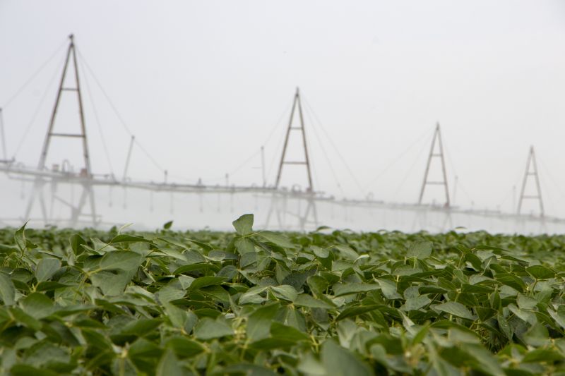 Inground Irrigation Service in Aiken, SC