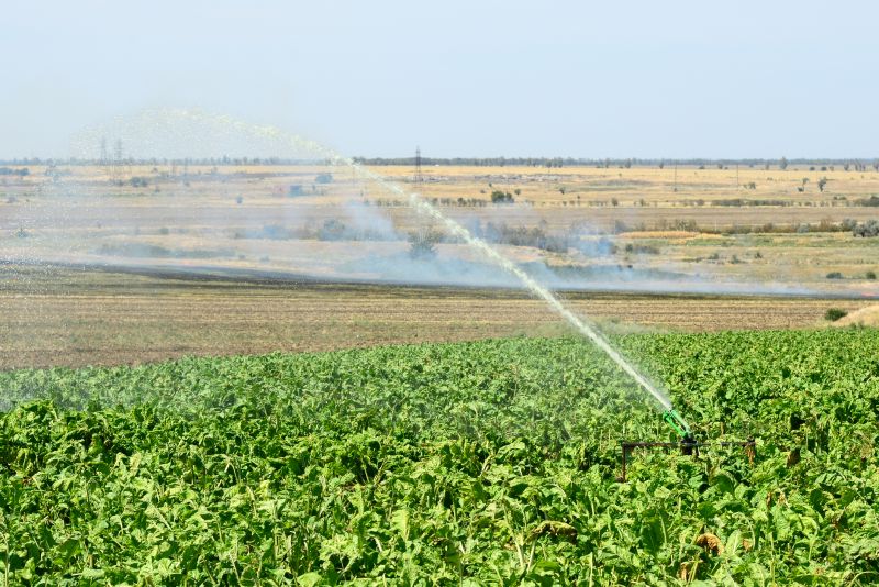 Mist Irrigation Installation in Honolulu, HI