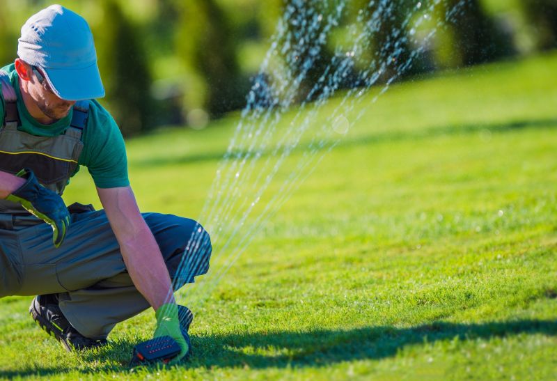 Professional Sprinkler System Maintenance