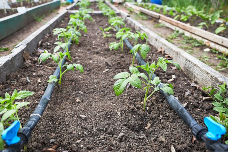 Drip Irrigation Installation in Aiken, SC
