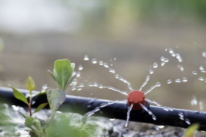 Garden Irrigation Installation in Aiken, SC