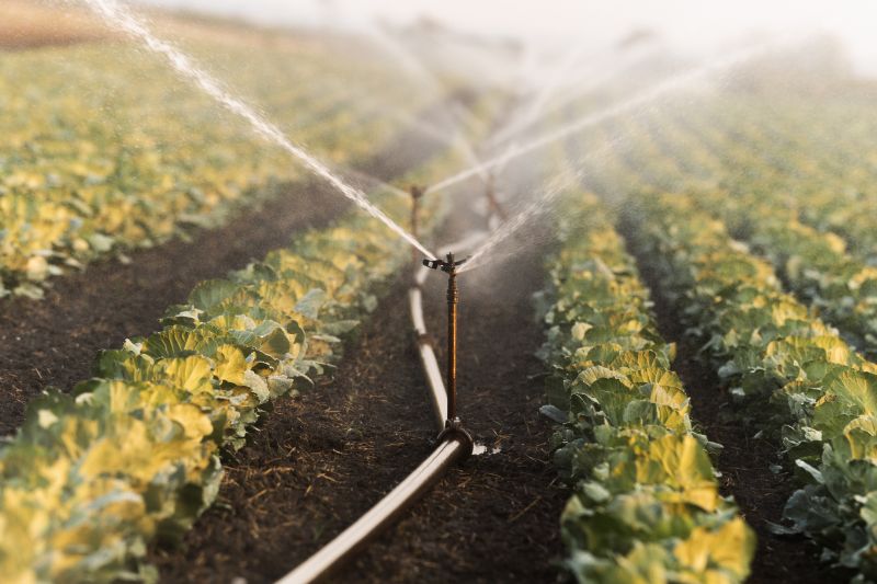 Irrigation Installation in Ventura County, CA